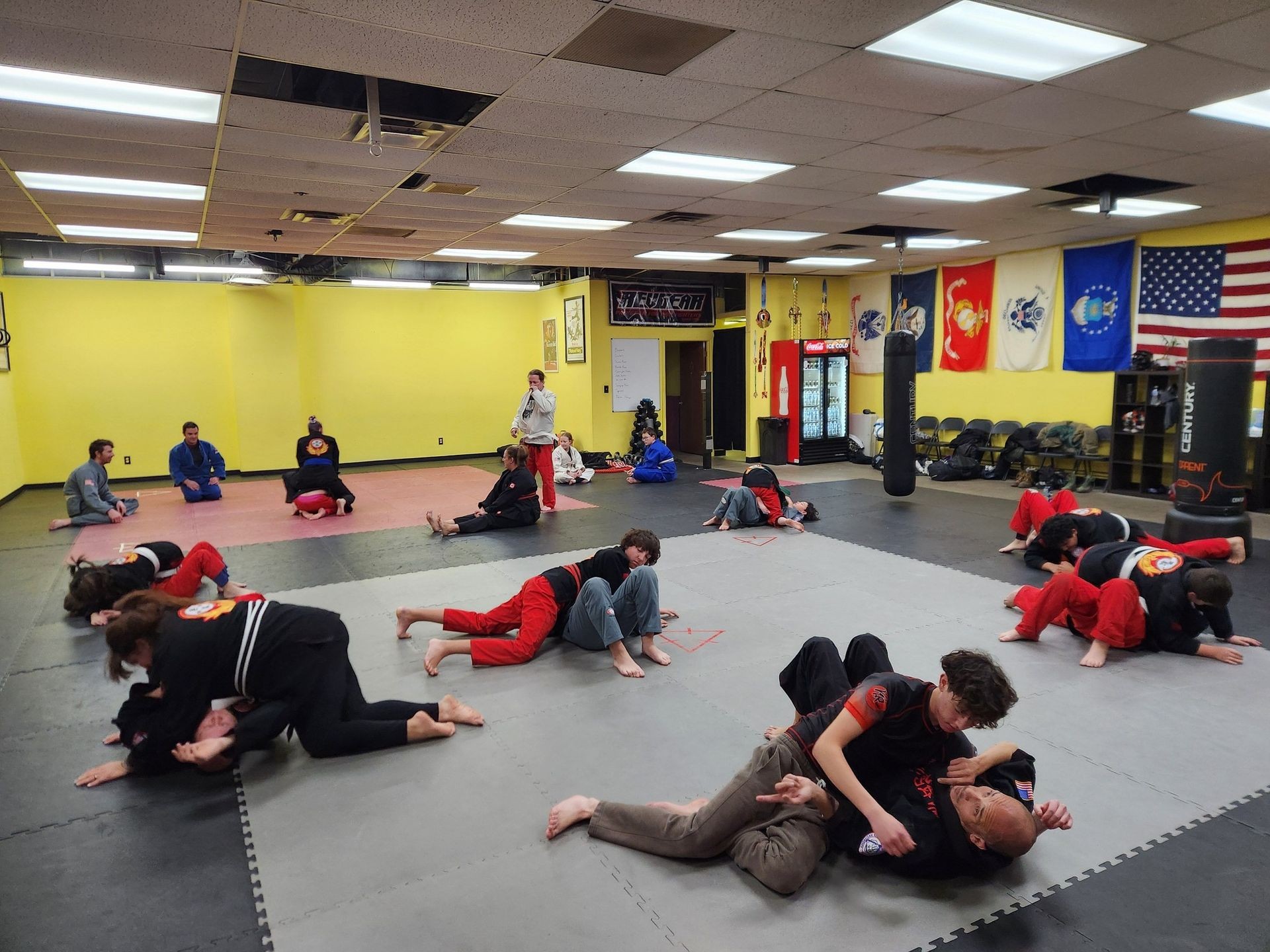 Brazilian Jiu Jitsu (BJJ)